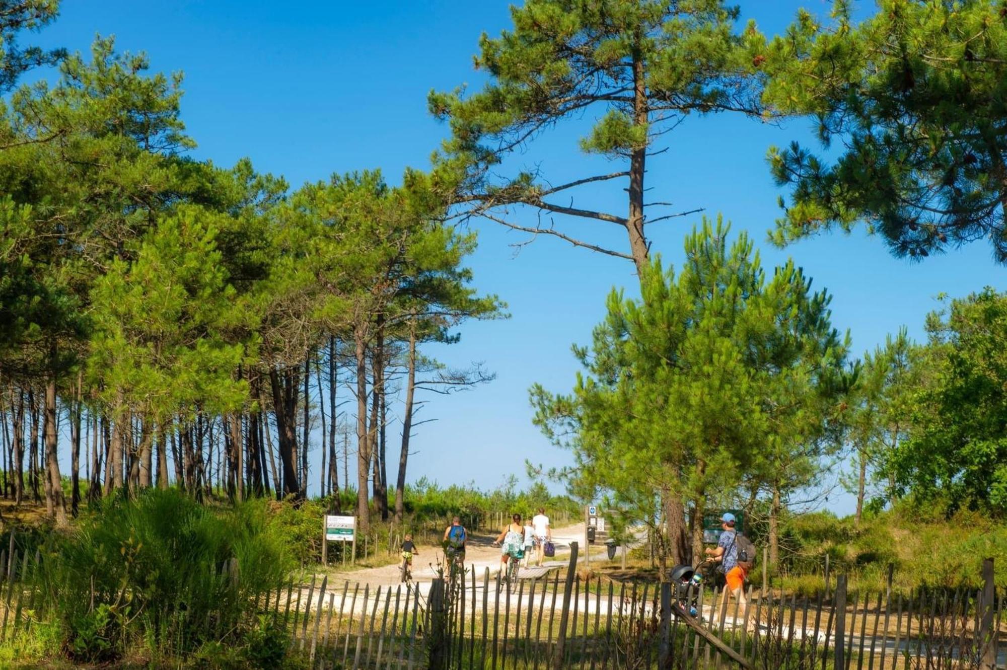 Campsite Mobil-home Club 5* Montalivet